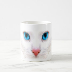 chat blanc mignon, tasse drôle
