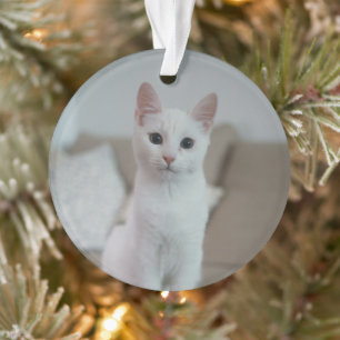 chat blanc Zazzle_Growshop.
