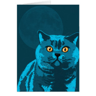 Chat bleu