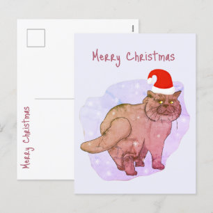 Chat britannique. Père Noël cat. Carte postale pou