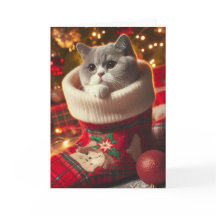 Chat britannique Shorthair dans une carte de Noël 