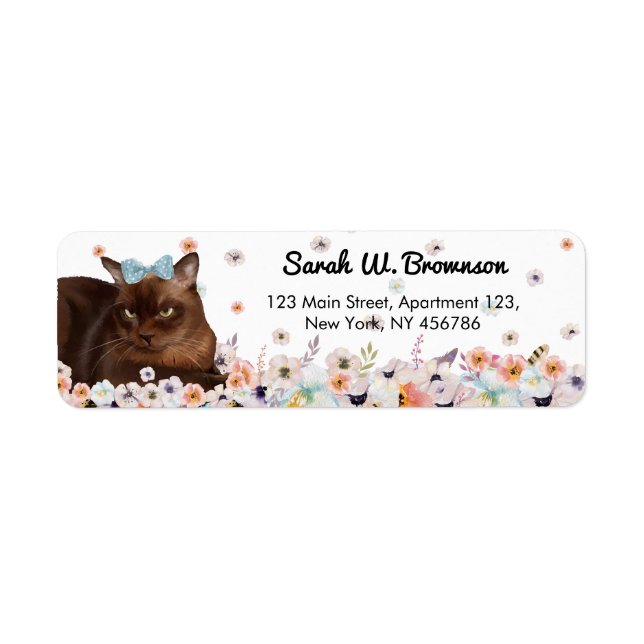 Chat Brown birman fleurs de l'intestin bleu (Devant)