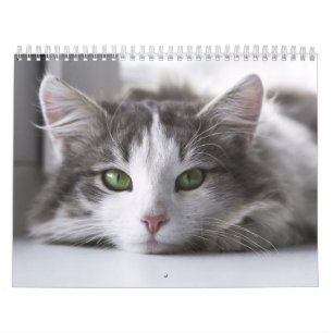 Chat Calendar 