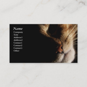 Chat - cartes de visite