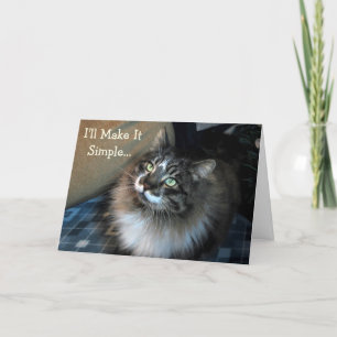 Chat Chat Anniversaire Chat Carte Anniversaire