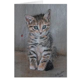 Chat, chaton à table, juste en train de poser, de