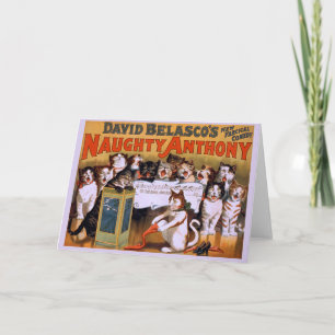 Chat Chorus ! - Carte de voeux