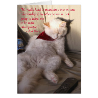 Chat comme Axl Rose sur la monogamie :