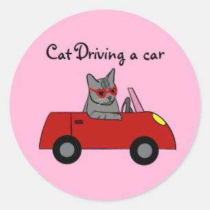 Chat conduisant un autocollant