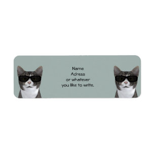 Chat cool Avec Lunettes De Soleil Noir