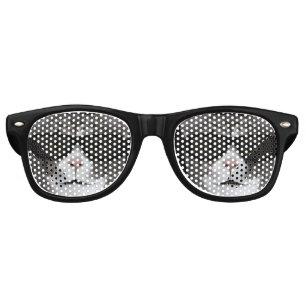 Chat cool Avec Lunettes De Soleil Noir