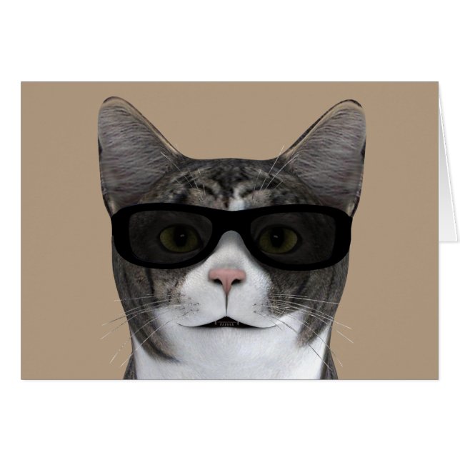 Chat cool Avec Lunettes De Soleil Noir (Devant horizontal)