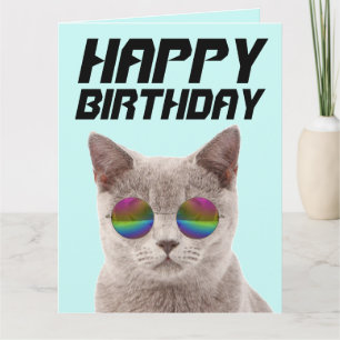 CHAT COOL D'ANNIVERSAIRE AVEC GRANDES CARTES DE LU