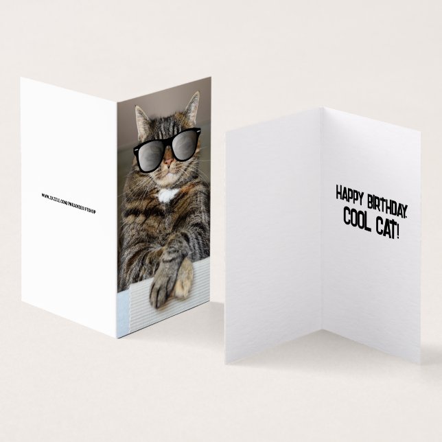 CHAT cool JEUX ANNIVERSAIRE SOLEILS DE SOLEIL CART (Inside and Outside)