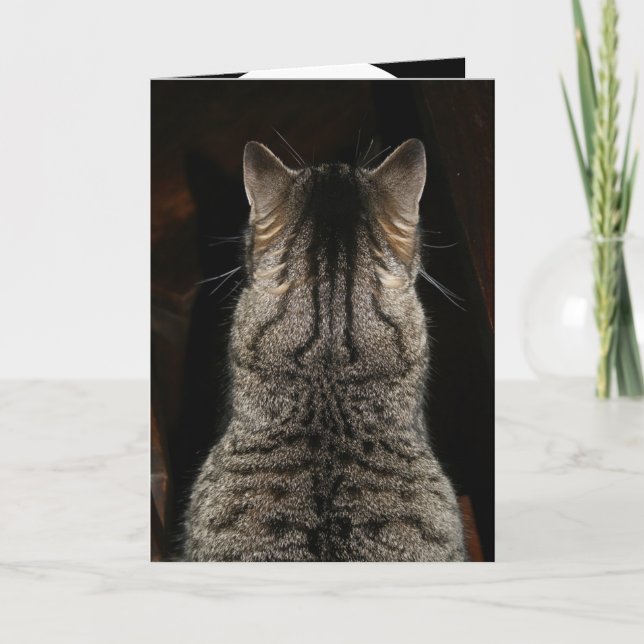 Chat crie "SURPRISE ! BONNE carte d'anniversaire" (Devant)