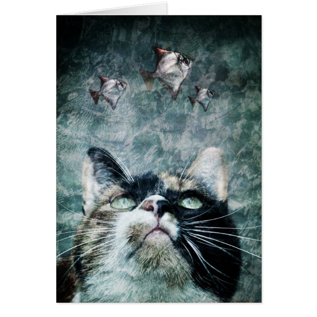 Chat d'abîme - carte (Devant)