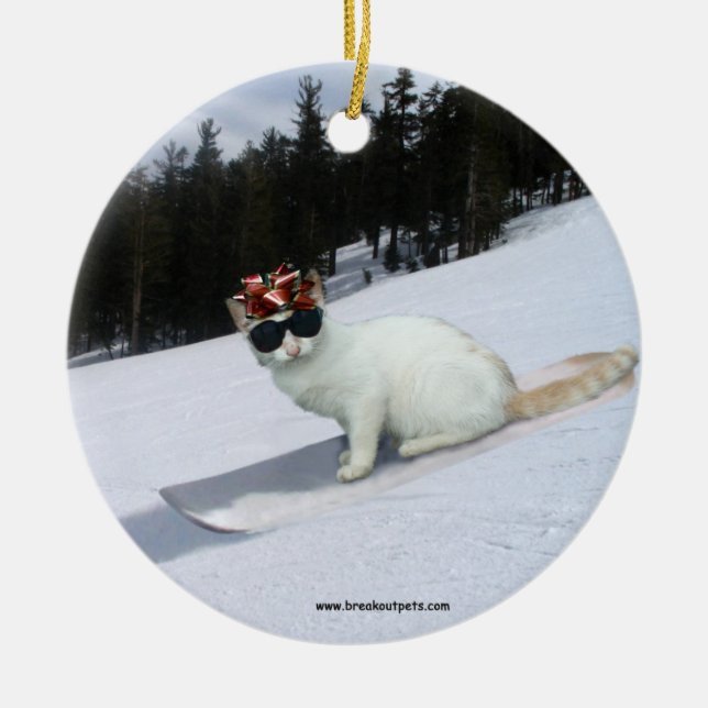 Chat d'amusement sur un ornement de vacances de (Devant)