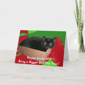 Chat dans la carte de Noël de boîte