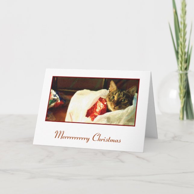Chat dans la carte de Noël de sac (Devant)