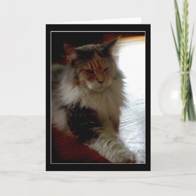 Chat dans la fenêtre ensoleillée photo carte de vo (Devant)