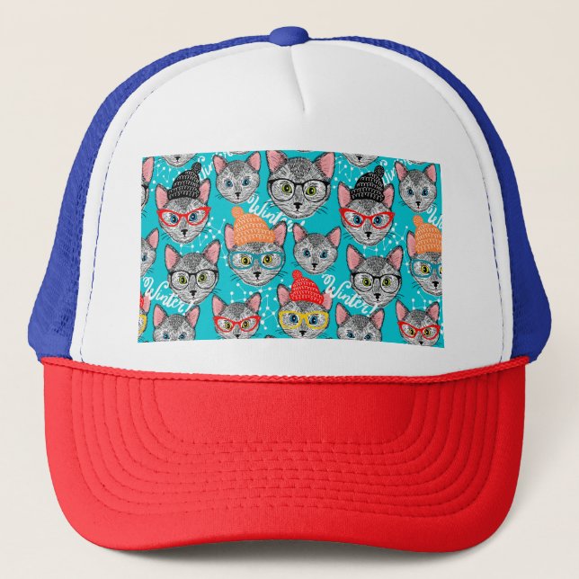 Chat dans le casquette (Devant)