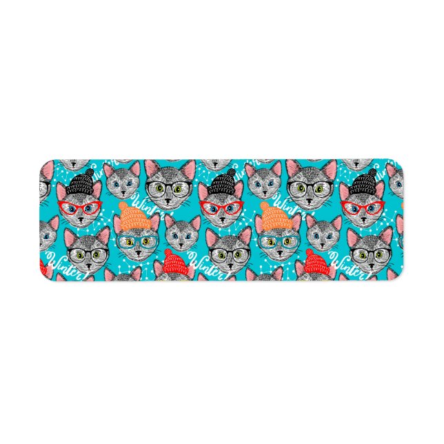 Chat dans le casquette (Devant)