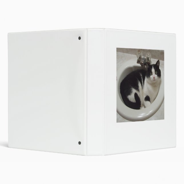 Chat dans le classeur d'évier (Arrière-plan)