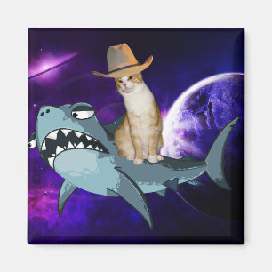 CHAT DANS L'ESPACE ÉQUILIBRER UN MAGNET DE REQUINS