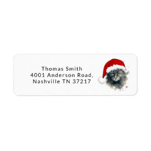 Chat Dans Un Chapeau De Père Noël Joyeux Noël Adre