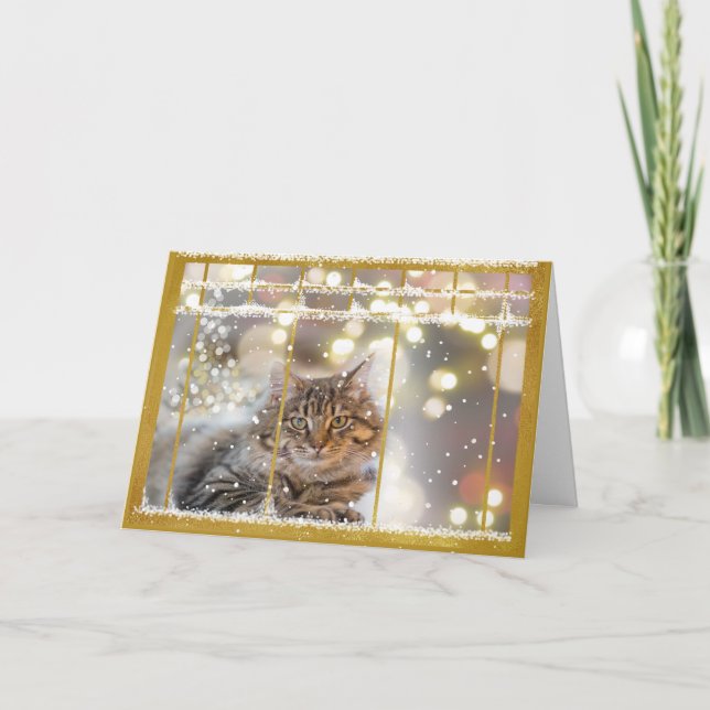Chat dans une fenêtre de Noël Or et blanc carte (Devant)