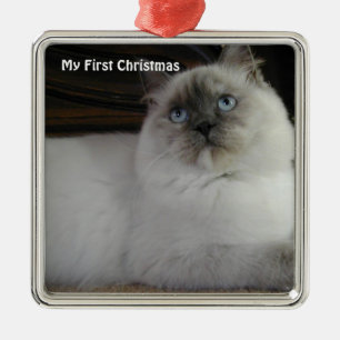 Chat d'argent Mon premier ornement photo de Noël
