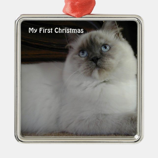 Chat d'argent Mon premier ornement photo de Noël (Devant)