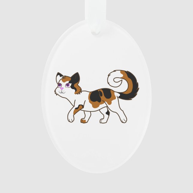Chat de calicot de marche (devant)