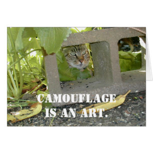 Chat de camouflage