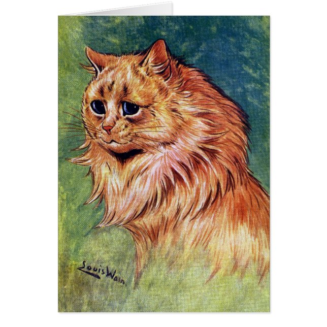 Chat de confiture d'oranges avec des yeux bleus (Devant)