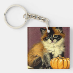 Chat de Halloween Ragdoll vintage
