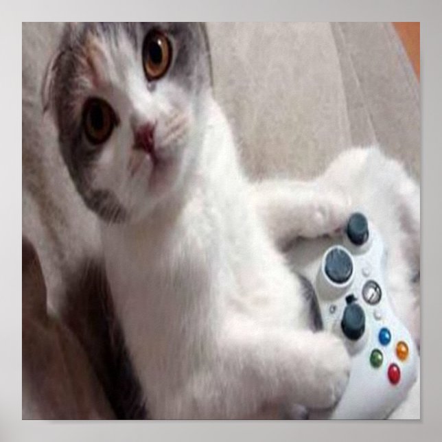 Chat de jeu - poster (Devant)