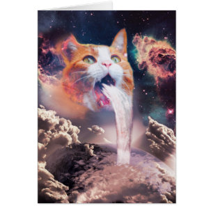 Chat de la cascade
