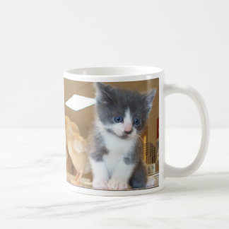 Chat de monstre - chaton avec la tasse de poussins