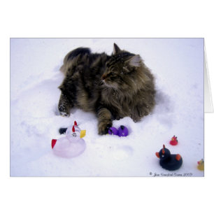 Chat de neige féroce