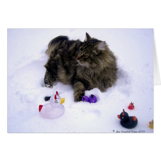 Chat de neige féroce (Devant horizontal)