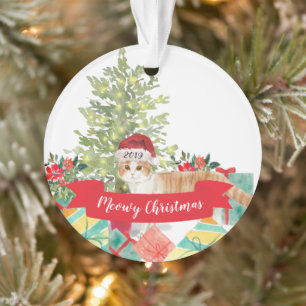 Chat de Noël écossais