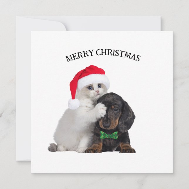 Chat de Noël mignon et carte de Noël de chien drôl (Devant)