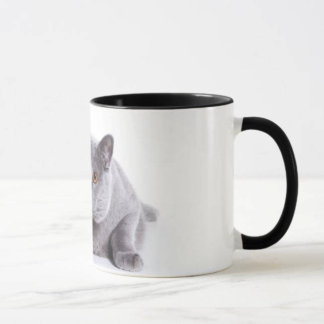 chat de petit morceau de tasse (Droite)