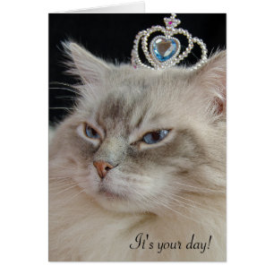 Chat de poupée avec couronne bijouterie