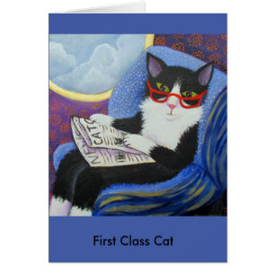 Chat de première classe