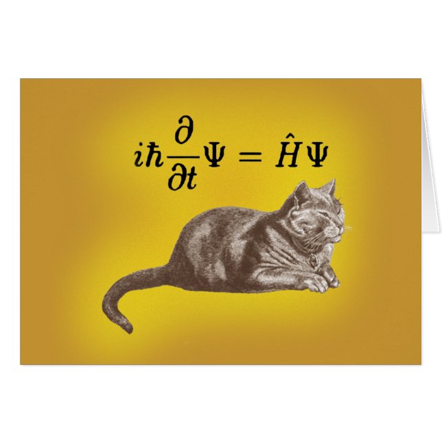 Chat de Schrodinger (Devant horizontal)