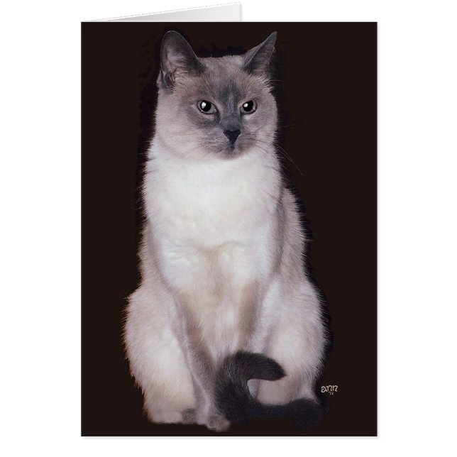 Chat de Siamese (Devant)