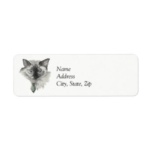 Chat de Siamese
