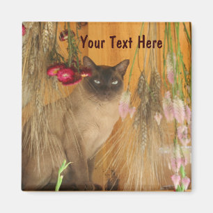 Chat de Siamese Poster de la photo d'animal Magnet